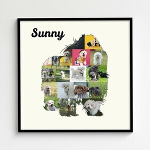 Create Your Bolonka Zwetna Photo Collage: Personalized Pet Keepsake