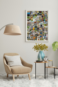 Create Your Own Large Vertical Wild Photo Collage - Up to 200 Pics! Create Your Own Large Vertical Wild Photo Collage - Up to 200 Pics!