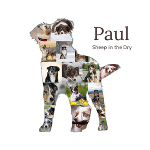 Create Your Own Australian Shepherd Collage - Cherish Your Furry Friend