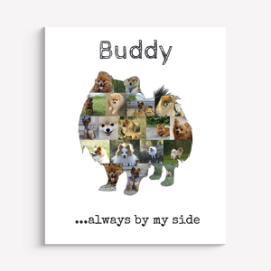 Create a Unique Pomeranian Photo Collage with Your Favorite Photos