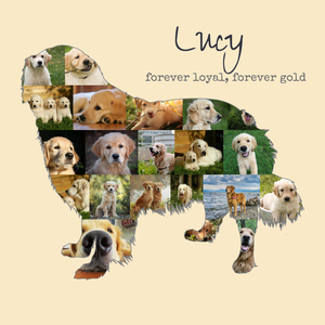 Create Your Golden Retriever Photo Memory