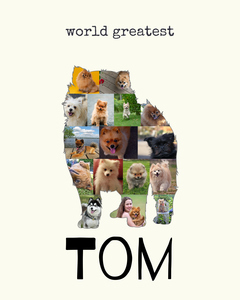 Create Your Pomeranian Photo Collage: Personalize with 15-20 Pics & Text