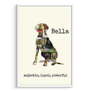 Create Your Personalized Rhodesian Ridgeback Dog Photo Collage