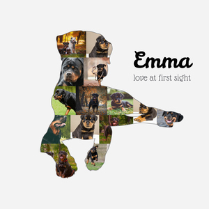 Create Your Rottweiler Photo Collage – Personalized Dog Lover Gift