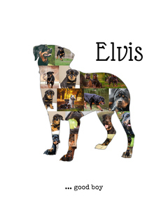 Create Your Rottweiler Photo Collage – Personalized Dog Lover Gift