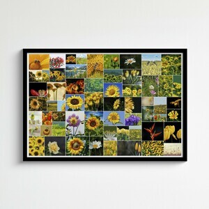 Create Your Wild Flower Collage Poster - Personalize with 61 Photos Create Your Wild Flower Collage Poster - Personalize with 61 Photos
