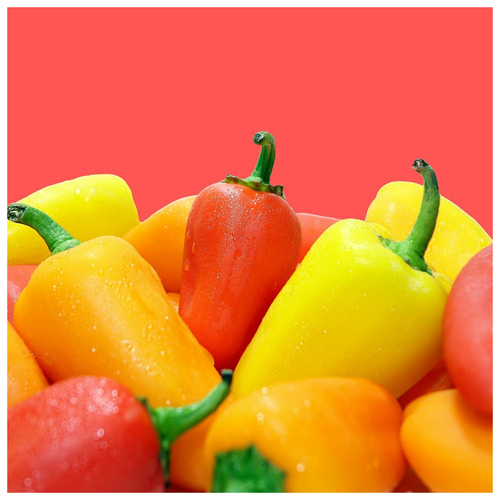 Create Your Personal Vibrant Photo Canvas – Colorful & Customized Art