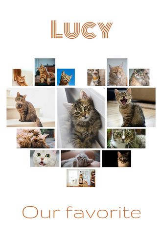 Cat Heart Photo Collage - Create yours now, add your cat's name or custom text