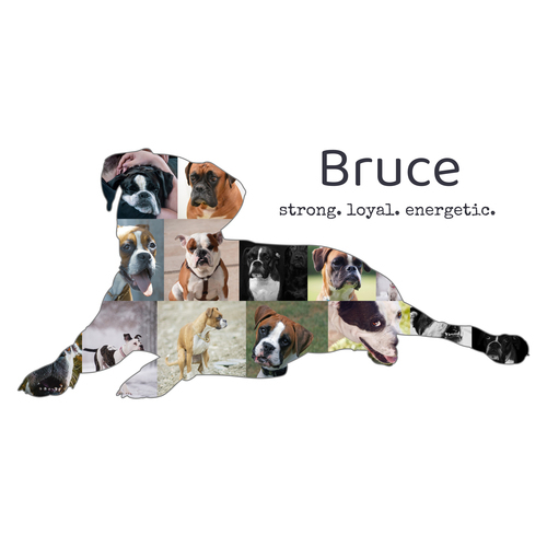 Create Your Custom Boxer Silhouette Photo Collage - Personalize with Text & Colors