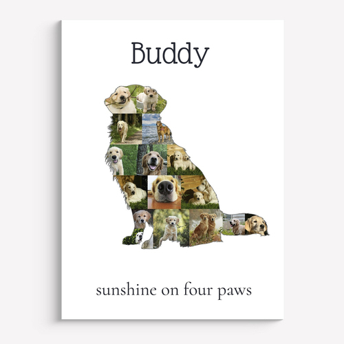 Create Your Golden Retriever Photo Memory