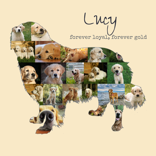 Create Your Golden Retriever Photo Memory
