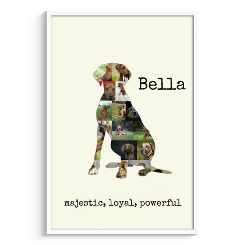 Create Your Personalized Rhodesian Ridgeback Dog Photo Collage